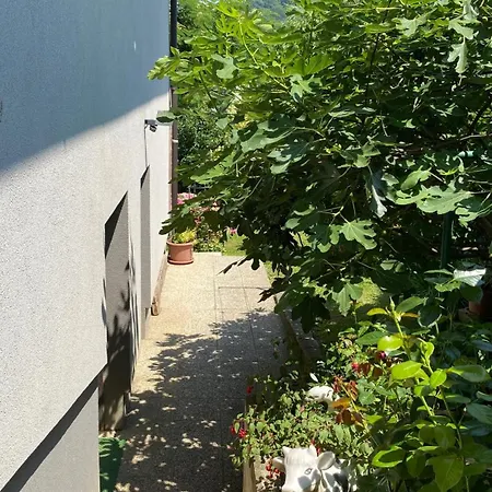 Semper Liberi * Maribor