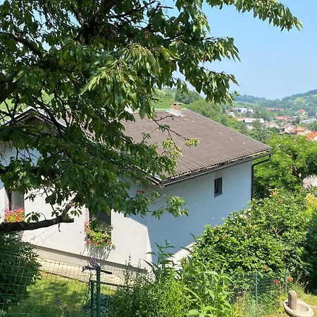 Semper Liberi * Maribor