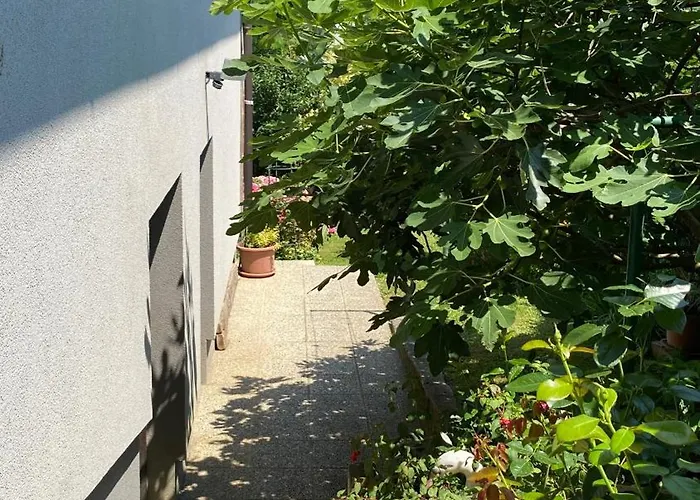 Semper Liberi * מריבור