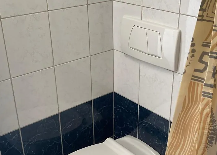 Semper Liberi * מריבור