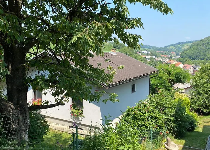 Semper Liberi * מריבור